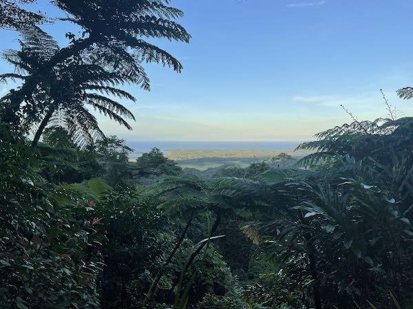 Daintree Rainforest & Great Barrier Reef - Visiting Australia